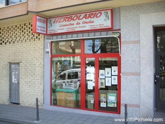 COSECHA DE OTOÑO