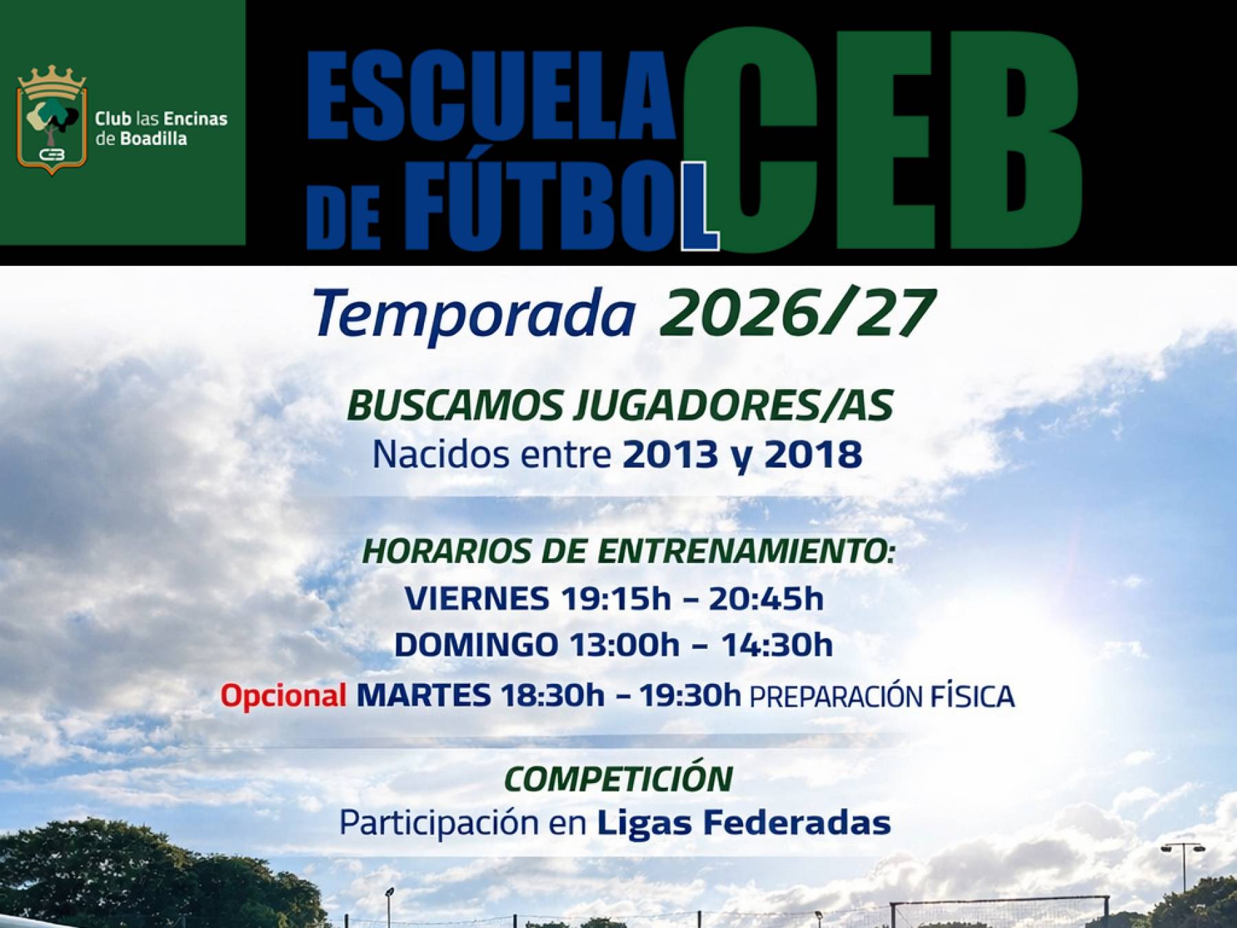 ALFYPIEL Limpieza de Alfombras a Domicilio