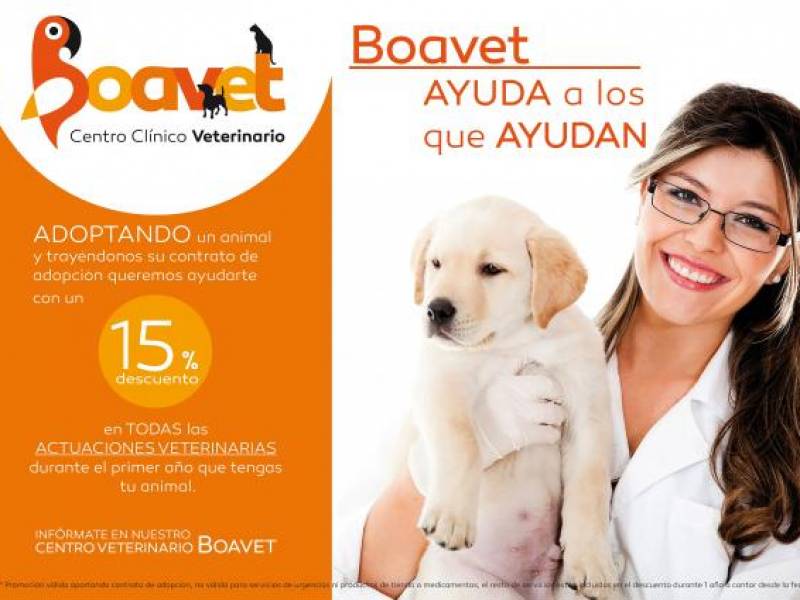 15% servicio veterinario