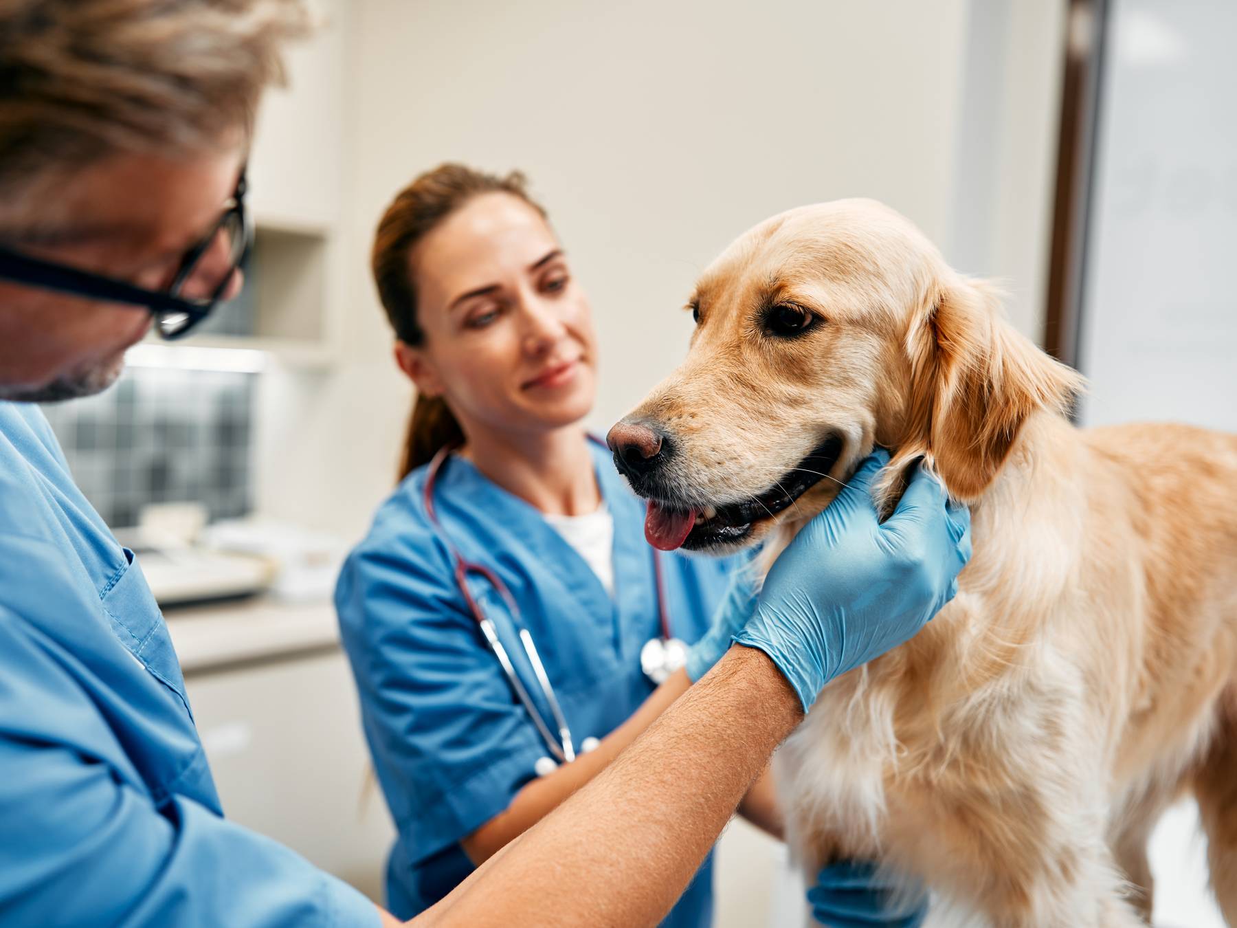 MONTEPRÍNCIPE BELLA GLAM