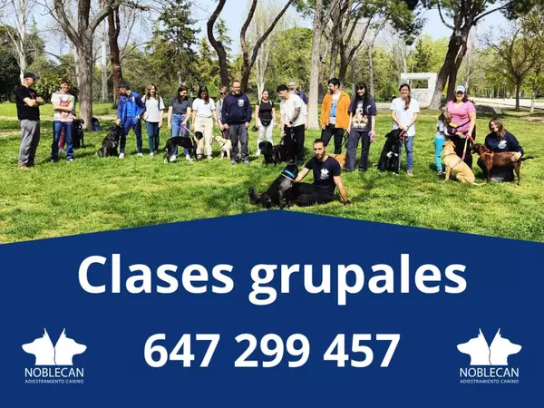 Clases Grupales: No Importa la Raza o Edad