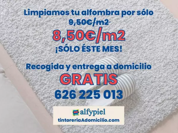 Limpieza de Alfombras a domicilio por 8,50€/m2!!