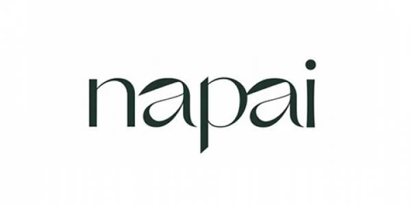 logo NAPAI