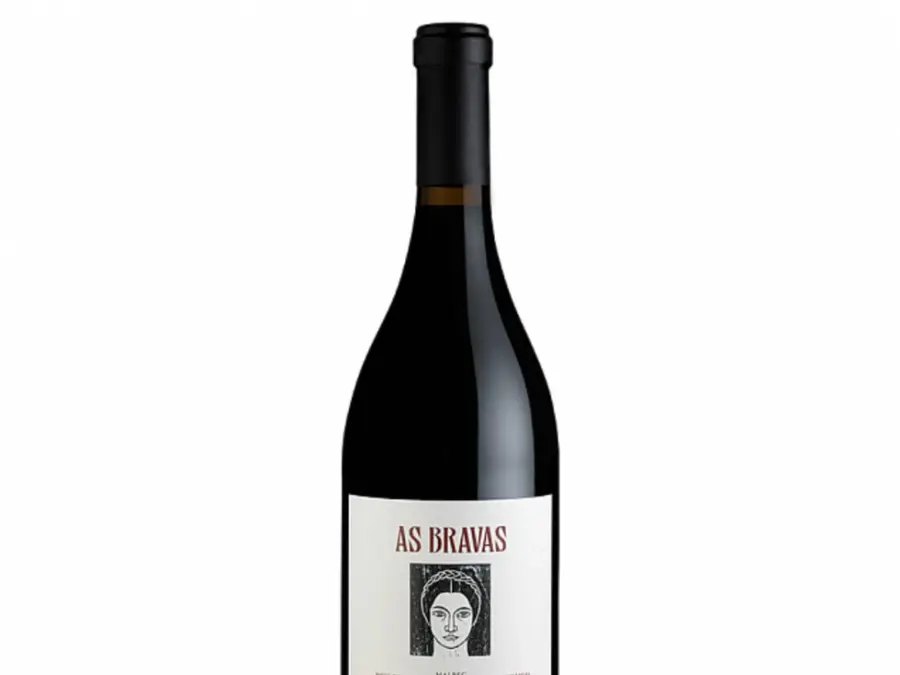 El Enemigo As Bravas Malbec 