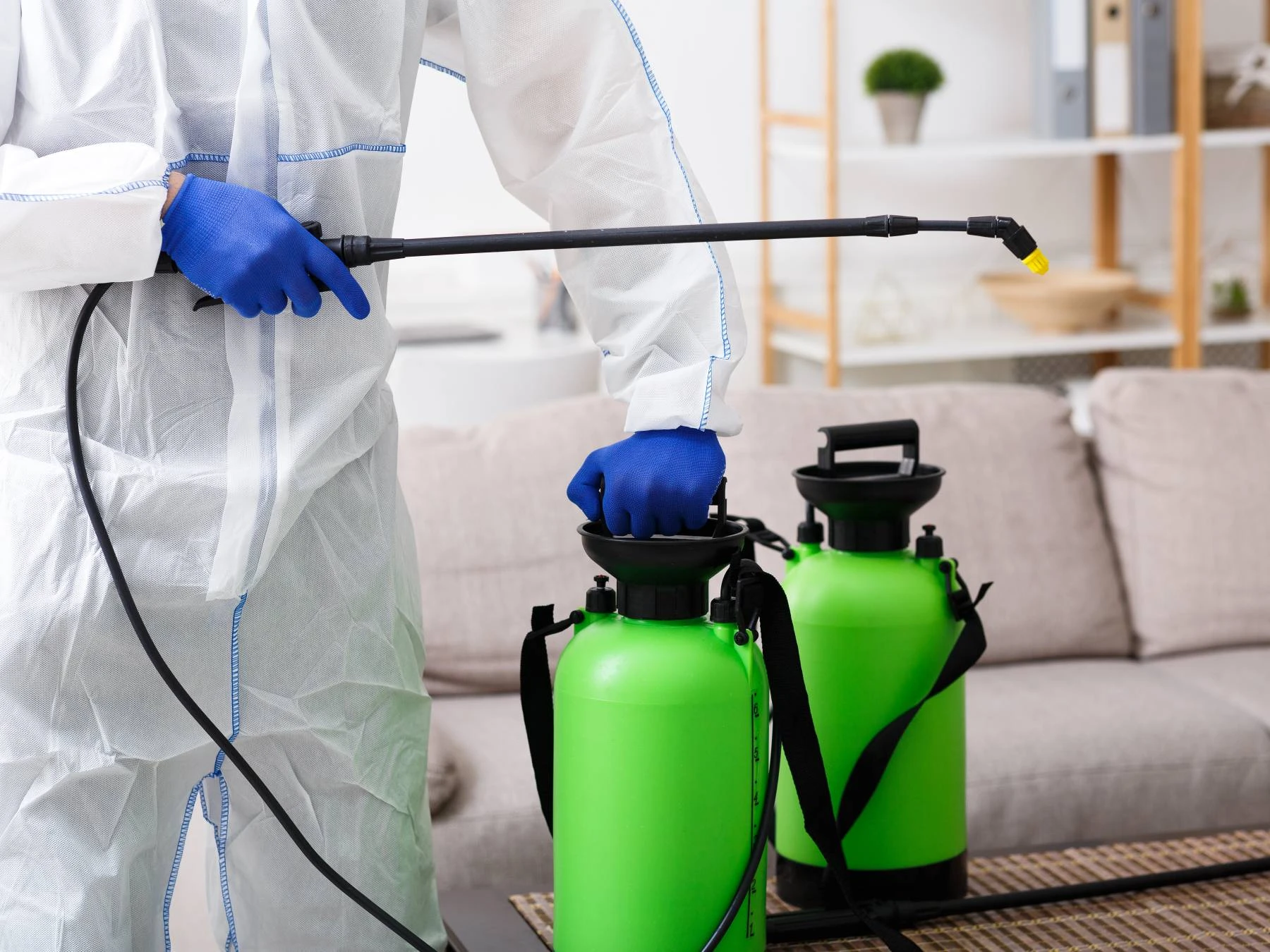 Eliminación de chinches, garrapatas, cucarachas... en domicilios