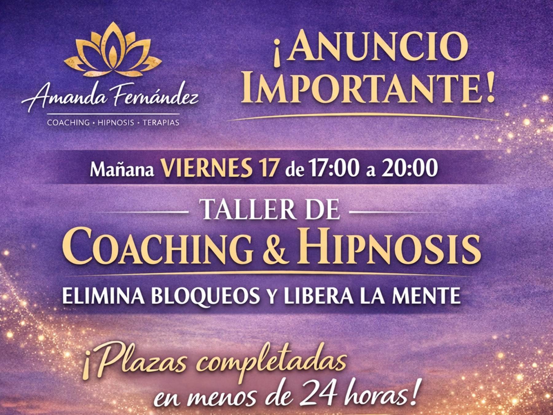 ALFYPIEL Limpieza de Alfombras a Domicilio