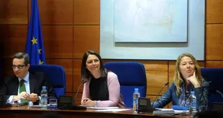 El Pleno aprueba una declaración con motivo del Día Internacional de la Mujer