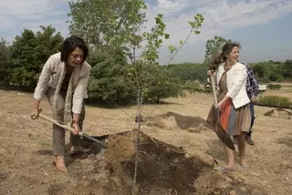 Pozuelo celebra el Día Mundial del Medio Ambiente con una plantación de árboles en el Parque Forestal de Somosaguas 
