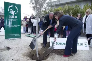El Ayuntamiento de Pozuelo junto a la Fundación Gil Gayarre en la plantación de un olivo símbolo de las “Scholas Occurrentes”