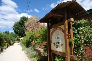El Ayuntamiento de Pozuelo destina cerca de 100.000 euros para la mejora del medio ambiente a través del Aula de Educación Ambiental