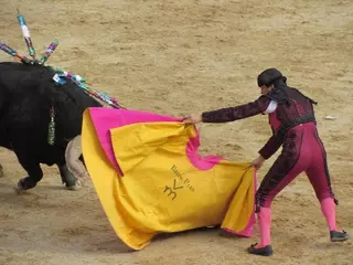 La Comunidad de Madrid estudia la creación de una nueva escuela de tauromaquia