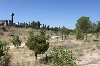 Ciudadanos Pozuelo pide que se regenere el entorno del Arroyo Meaques