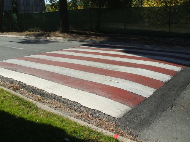 Ciudadanos Pozuelo propone la creación de una Ordenanza Municipal que regule la instalación de badenes en el municipio