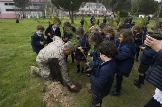 El Ayuntamiento de Pozuelo de Alarcón plantará en la ciudad cerca de un millar de árboles este año