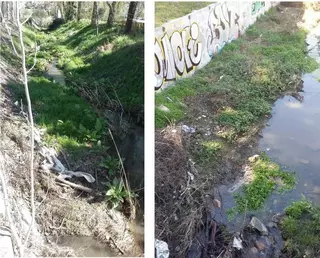 El PSOE exige de nuevo la limpieza y restauración del Arroyo Pozuelo