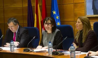 El Ayuntamiento elaborará un estudio pormenorizado de los pasos de cebra para mejorar la seguridad vial