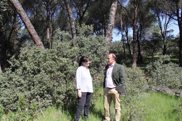 El Ayuntamiento de Pozuelo de Alarcón estudia las posibles actuaciones a desarrollar en la Finca el Maisán