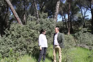 El Ayuntamiento de Pozuelo de Alarcón estudia las posibles actuaciones a desarrollar en la Finca el Maisán