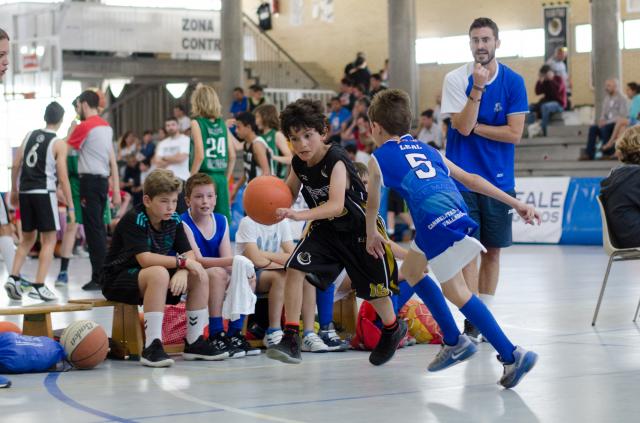 Llega el XV Torneo de Baloncesto Instituto Veritas con 100 partidos, baloncesto en silla de ruedas y Clínic con Álvaro Muelas