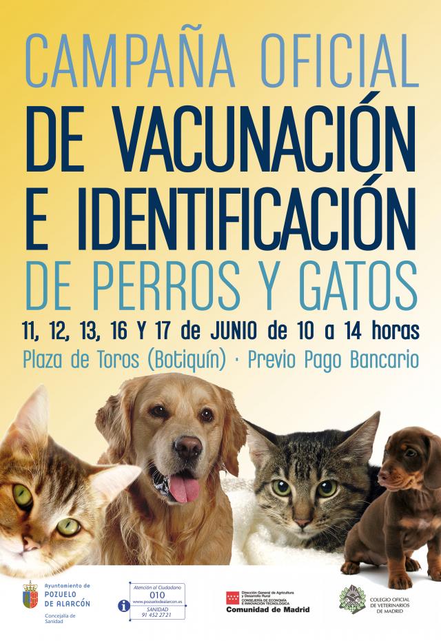 Pozuelo inicia la campaña de vacunación e identificación de perros y gatos  - Noticias en Pozuelo
