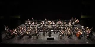 El PSOE de Pozuelo reclama soluciones ante la difícil situación que atraviesa la "Unión Musical "