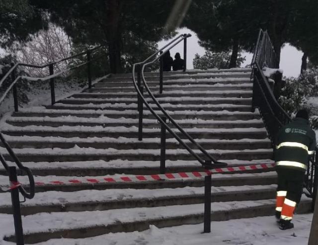 
                                                    Los parques de Pozuelo siguen cerrados ante el riesgo de caída de ramas