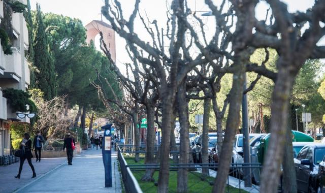 Se reanuda el Servicio de Estacionamiento Regulado en Pozuelo