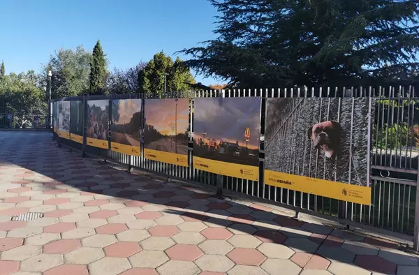 Pozuelo se suma a PHotoESPAÑA con una exposición de 22 imágenes en el exterior del Espacio Cultural MIRA