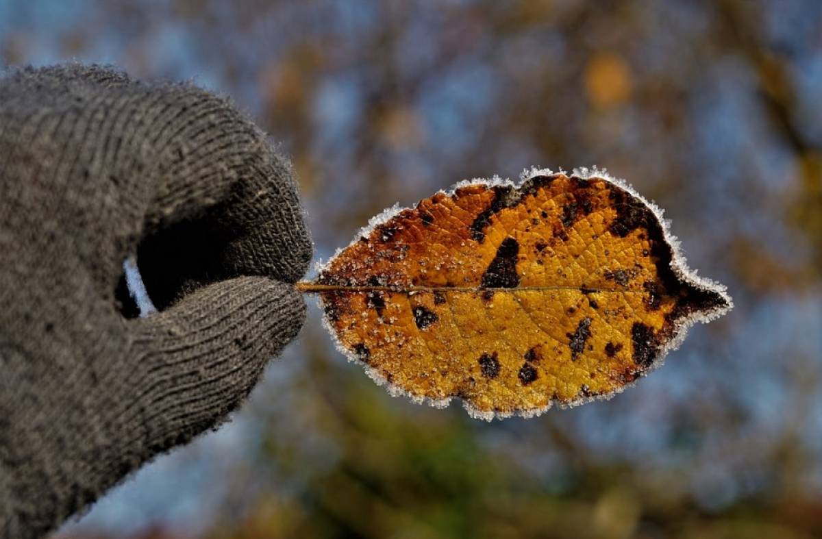 
                                                    Las temperaturas mínimas descienden hasta los -4 grados en la región