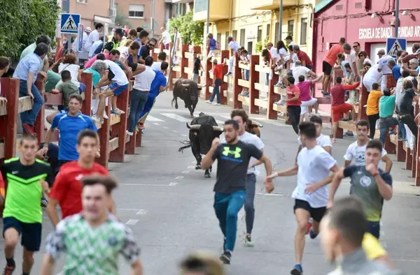 Programa de Fiestas de Pozuelo hoy: Jueves 7 de Septiembre