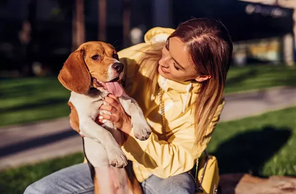 Pozuelo creará una nueva zona infantil y un área de esparcimiento canino