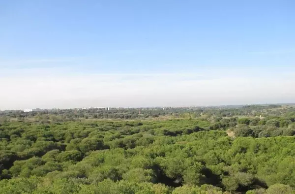 El proyecto de Montegancedo, paralizado cautelarmente de manera indefinida