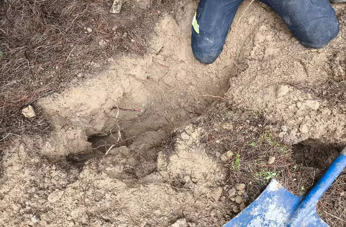 Los bomberos rescatan a un perro atrapado en una madriguera en Pozuelo