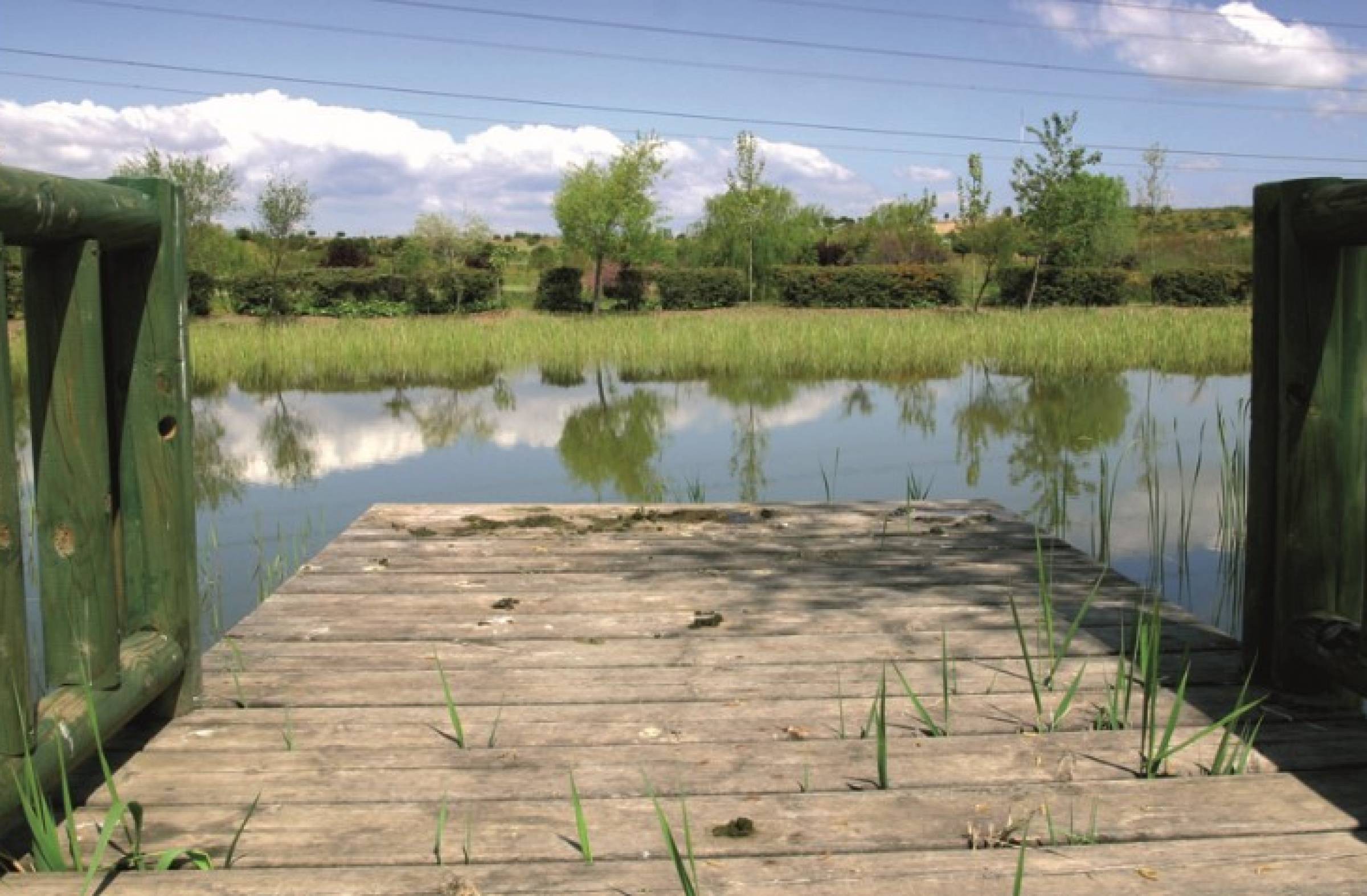 Pozuelo recuperará las lagunas del Parque Adolfo Suárez como espacio de ocio y esparcimiento