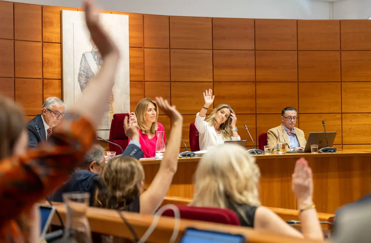 El Pleno de Pozuelo de Alarcón aprueba una moción de los populares para exigir la dimisión de Pedro Sánchez 