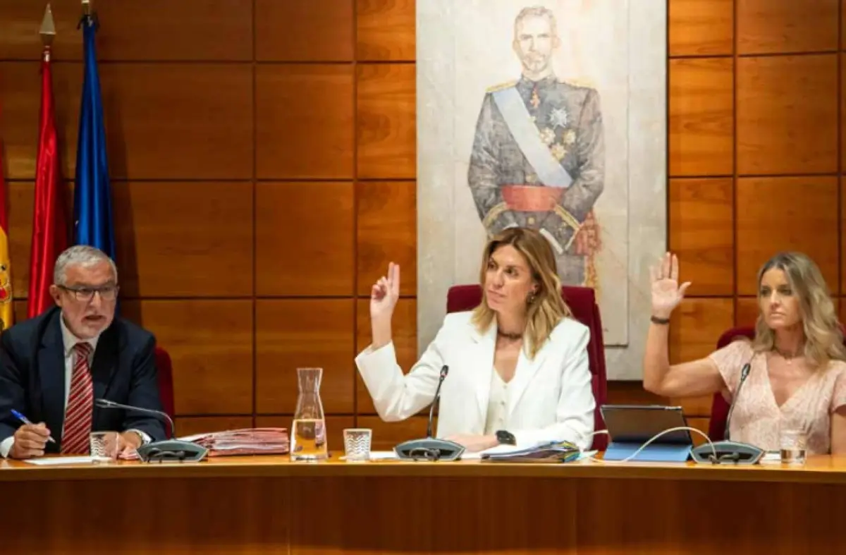 El Pleno de Pozuelo se opone a la intención del Gobierno Central de trasladar menores inmigrantes a la localidad