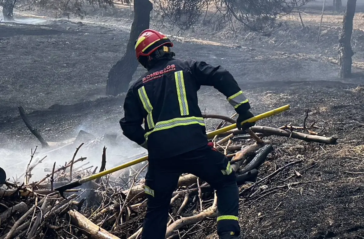Pozuelo y Majadahonda arden en pleno agosto: dos incendios en menos de 24h