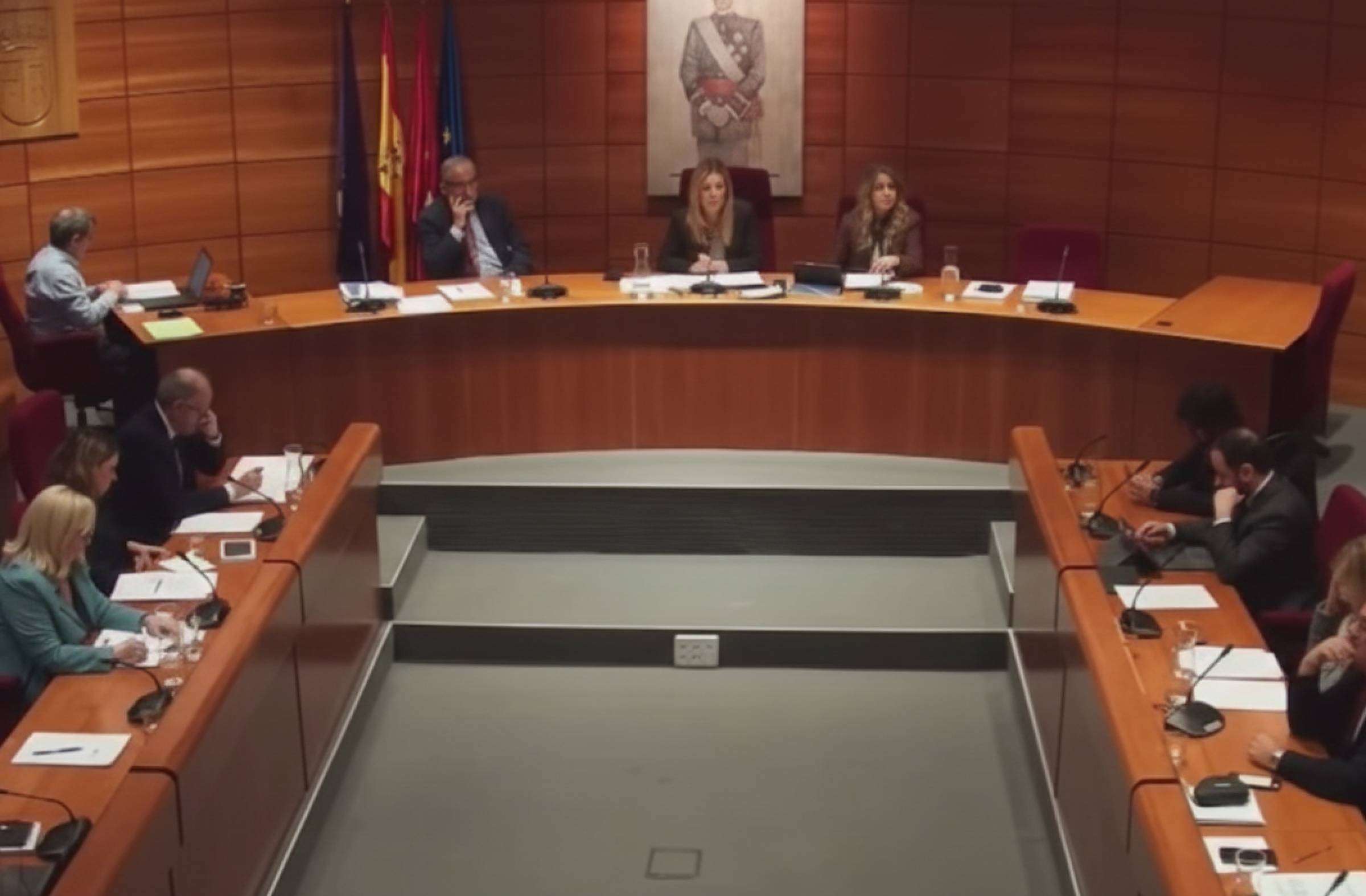 
                                                    PP Pozuelo: 'El Pleno ha frenado el disparate de Vox que agravaría el aparcamiento en los barrios más tensionados'