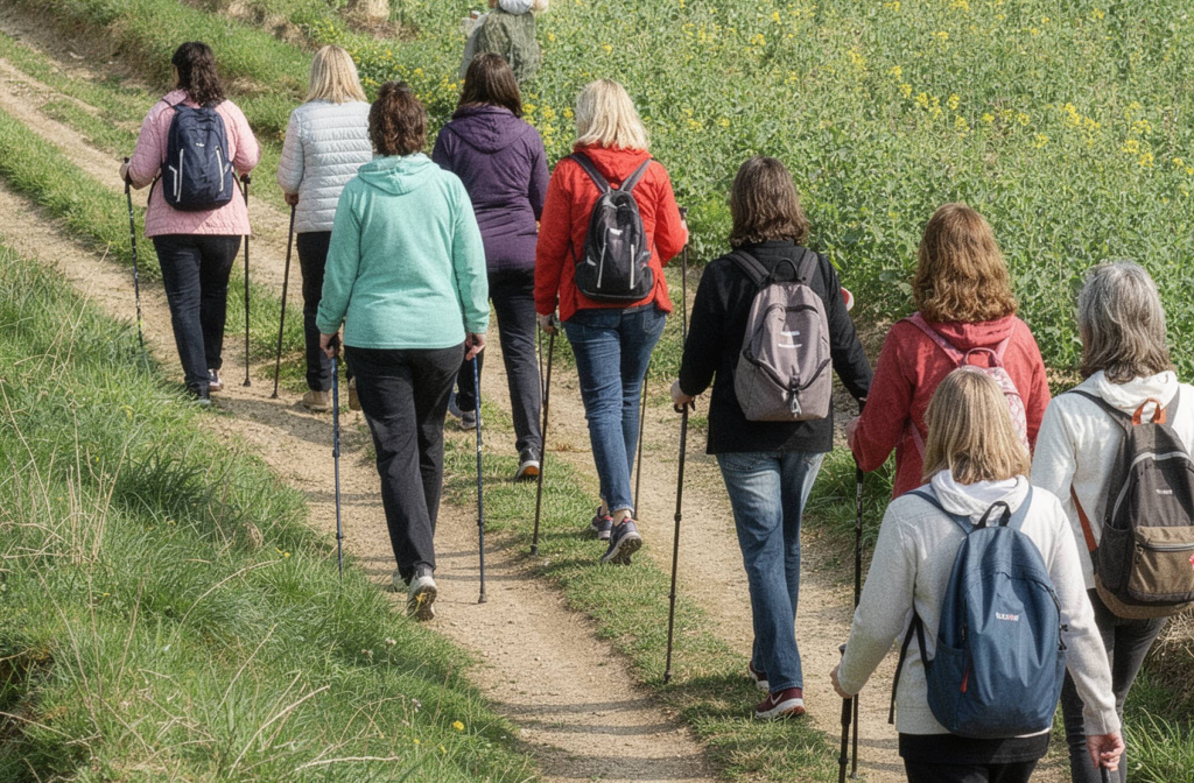Pozuelo celebra el Día Internacional de la Mujer con talleres, marcha nórdica, exposiciones, conferencias y conciertos