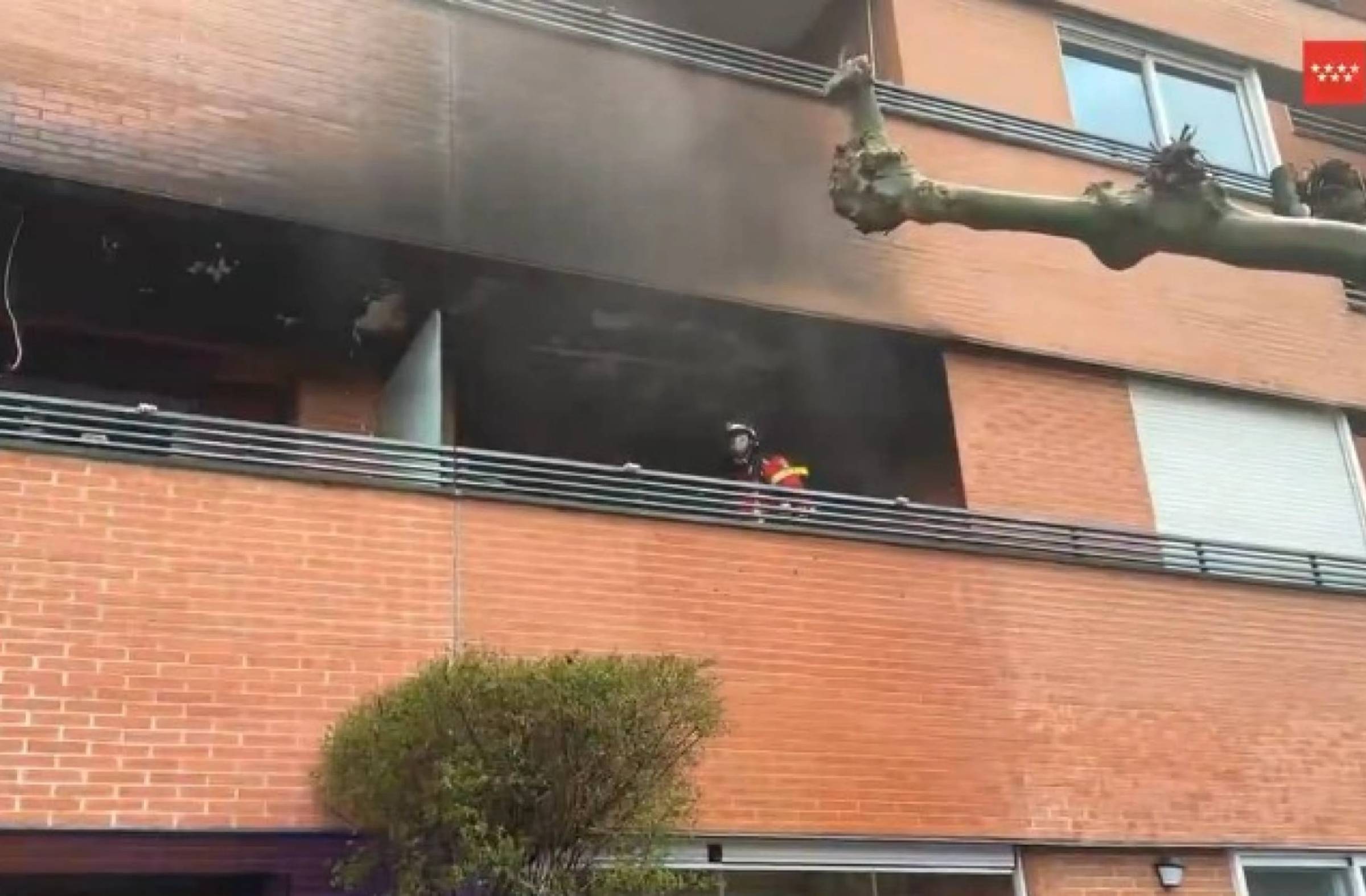 
                                                    Las primeras investigaciones apuntan a que el incendio de Pozuelo fue provocado por el inquilino del piso