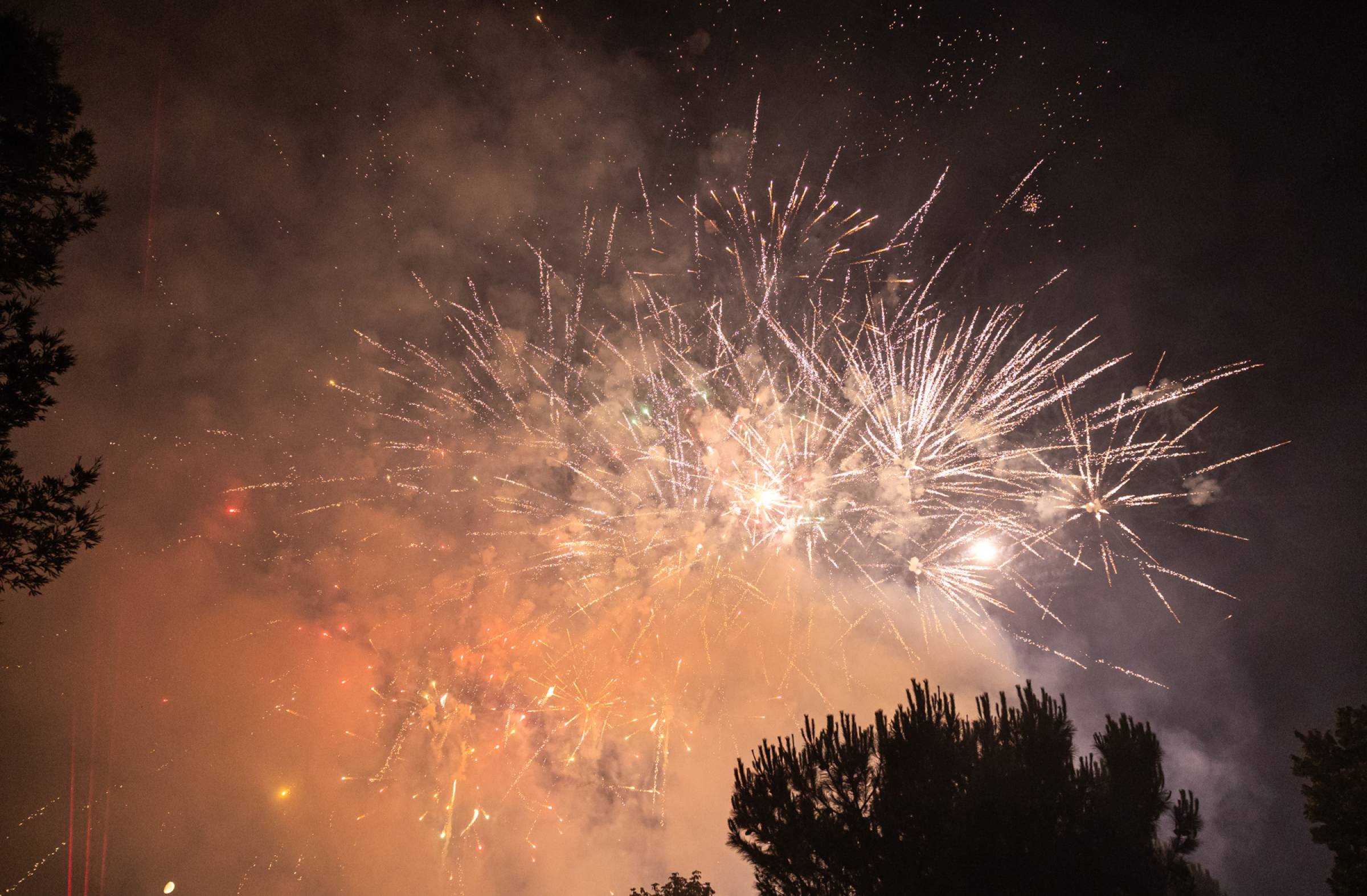 
                                                    Pozuelo celebra las fiestas del Carmen del 12 al 18 de julio: conciertos, Dj's, actividades infantiles, comidas populares...