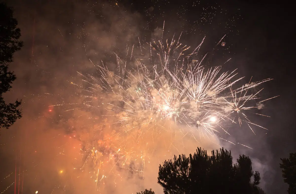 
                                Pozuelo celebra las fiestas del Carmen del 12 al 18 de julio: conciertos, Dj's, actividades infantiles, comidas populares...