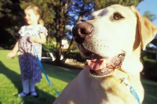 El Ayuntamiento potencia la adopción de animales de compañía en el municipio