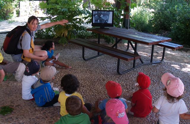 Nacen nueve carboneros en el Aula de Educación Ambiental de Pozuelo