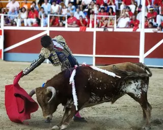 Adrados entrega los premios del Concurso Infantil de disfraces y asiste a la primera novillada sin picadores