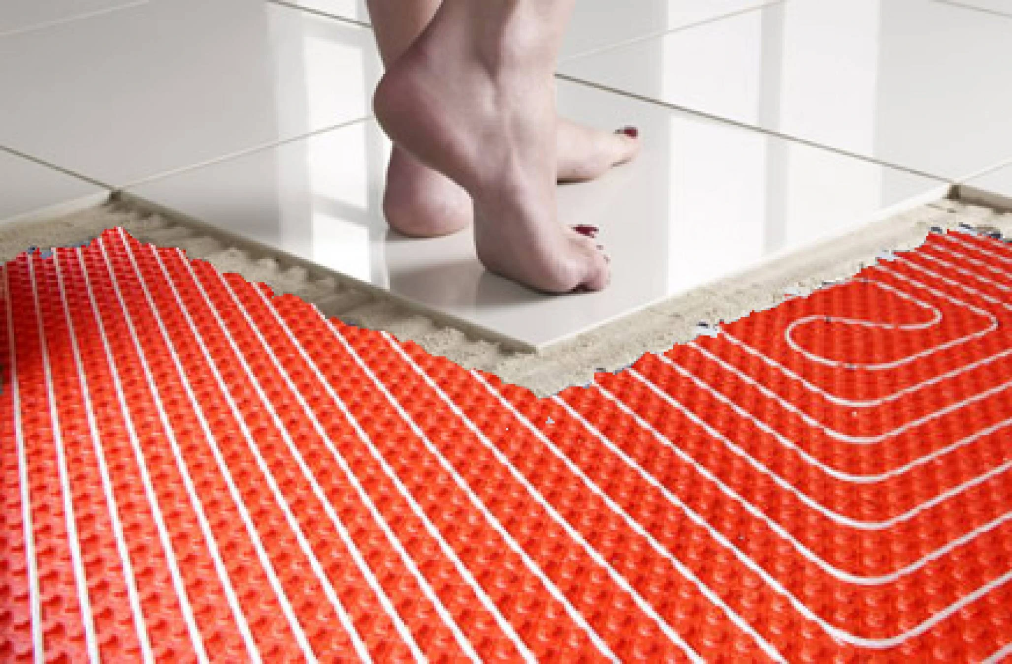 Dietista Nutricionista Fisioterapeuta 