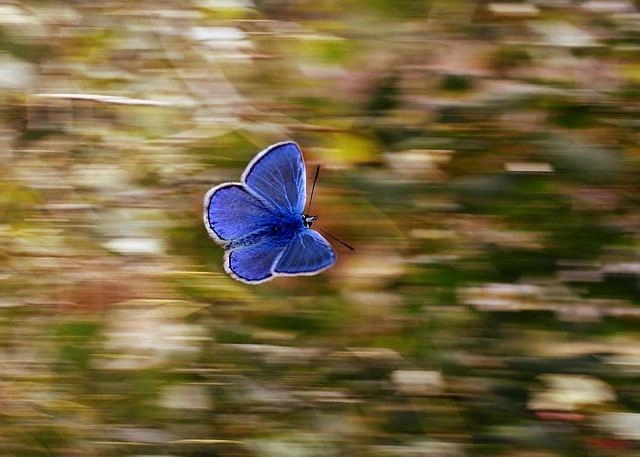 Curso de Meditación Mindfulness de 8 semanas impartido por Psicóloga.