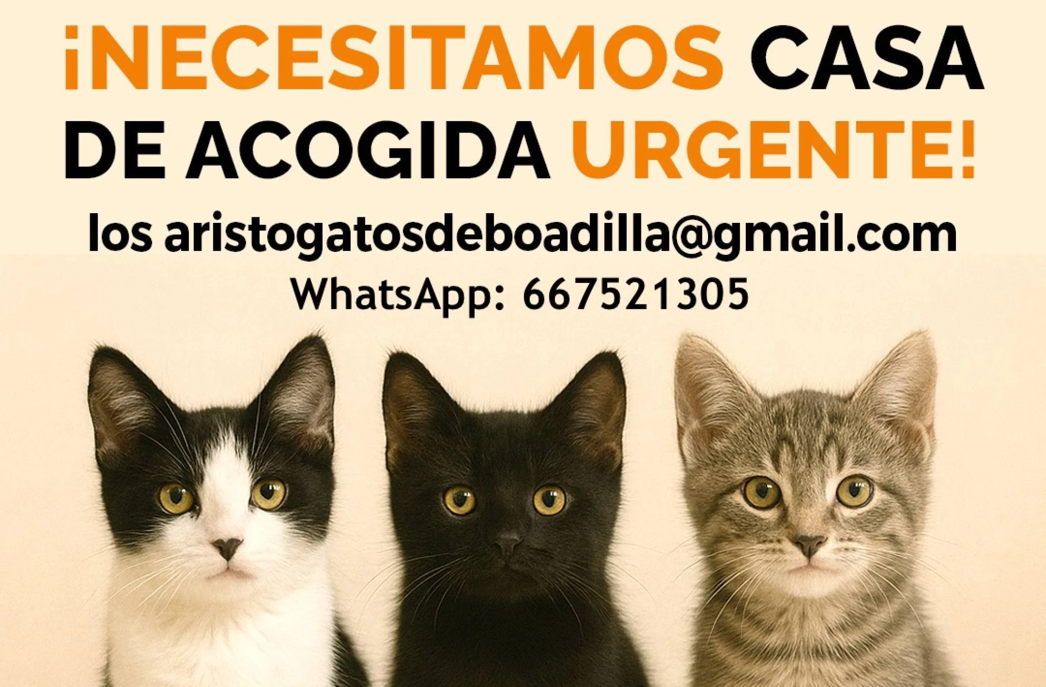 Busco contratar empleada de ho
